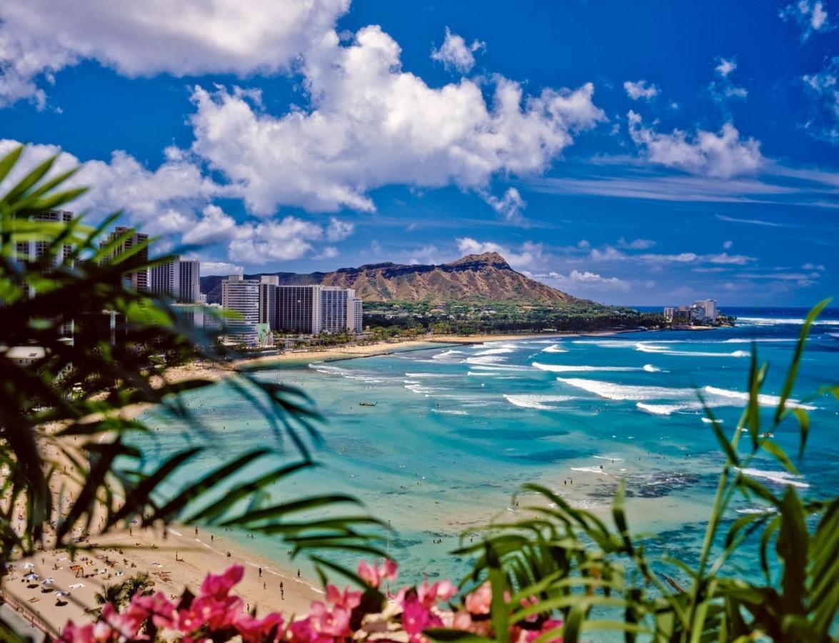 Great Diamond Head Views, 2Br Condo With Free Parking! Гонолулу Экстерьер фото